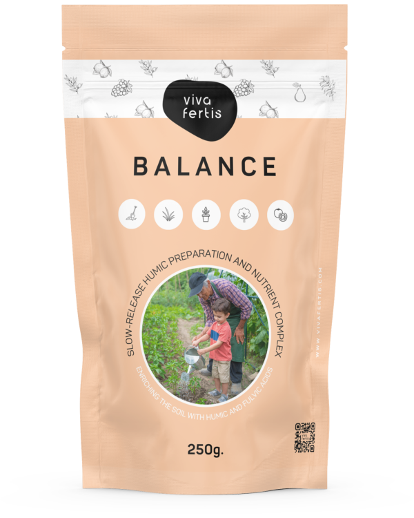VIVA BALANCE