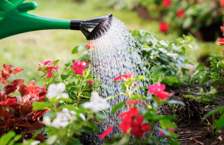 geliu-laistymas-1231×625-1 (1)