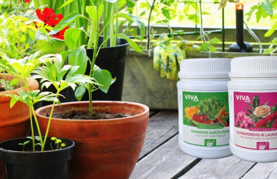 naujienu-foto-naujos-trasos_1231x625 (1)